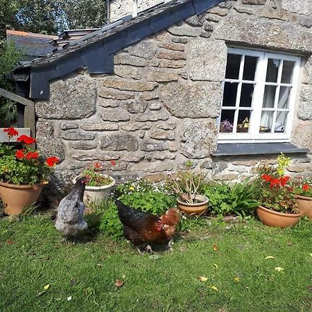 Borea Barn Vegetarian B&B St Ives Extérieur photo